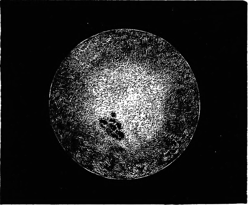 An illustration from Astronomy for students and general readers, 1880, leaf 310