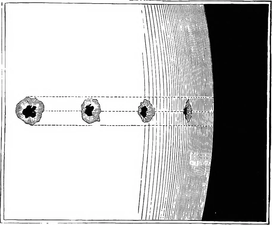 An illustration from Astronomy for students and general readers, 1880, leaf 313