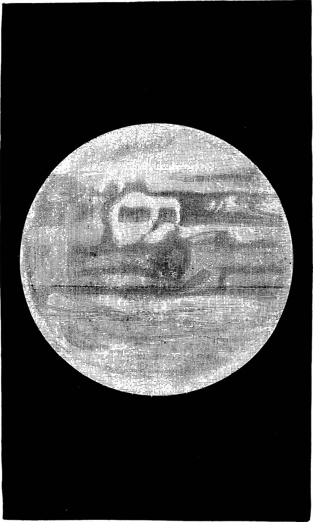An illustration from Astronomy for students and general readers, 1880, leaf 9