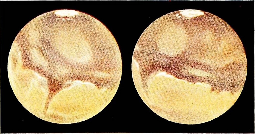 An illustration from The heavens and their story, 1910, leaf 257