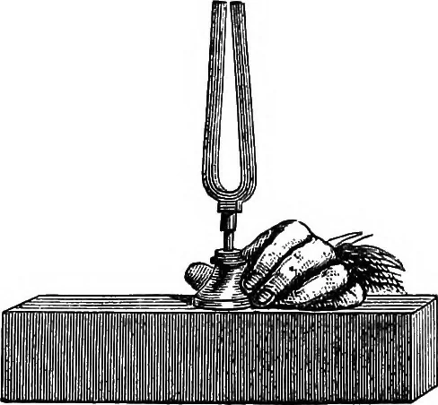 An illustration from Lectures on some recent advances in physical science with a special lecture on force, 1876, leaf 205