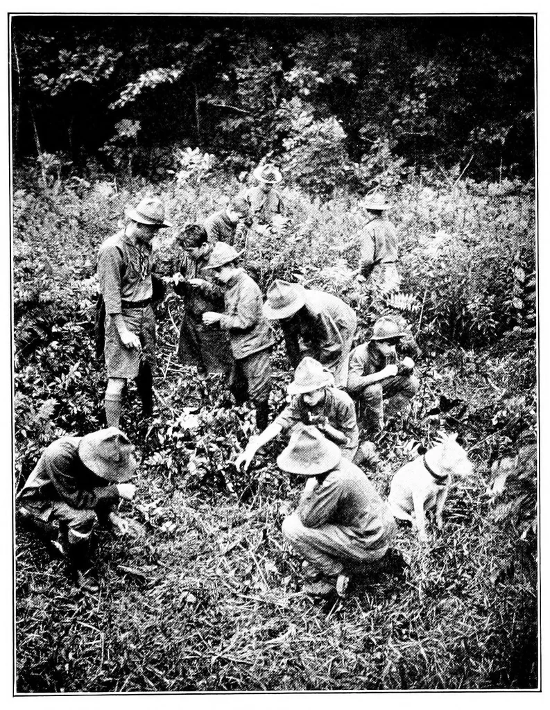 An illustration from Play and recreation for the open country, 1914, leaf 162