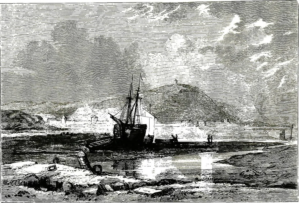 An illustration from The art of sketching from nature, 1871, leaf 101