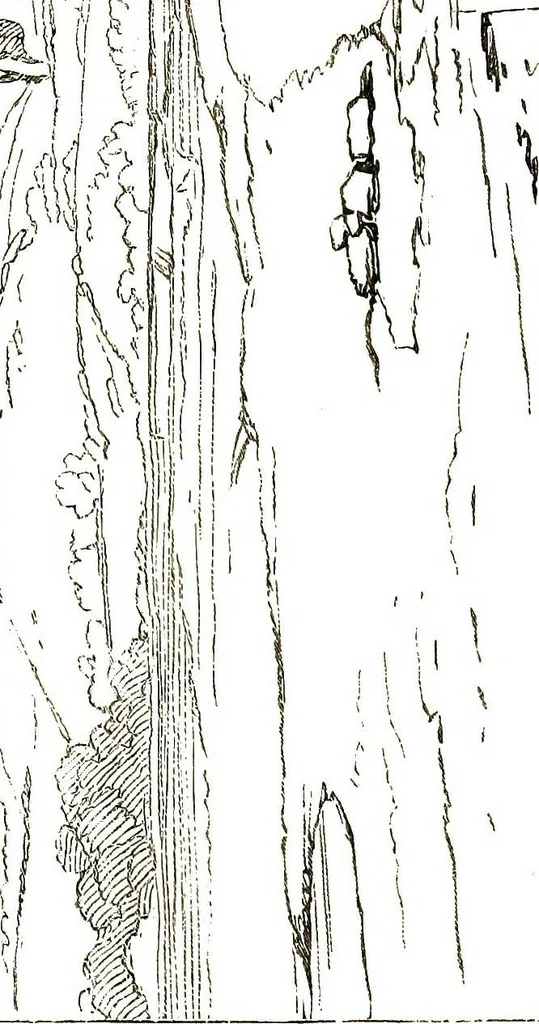 An illustration from The art of sketching from nature, 1871, leaf 31