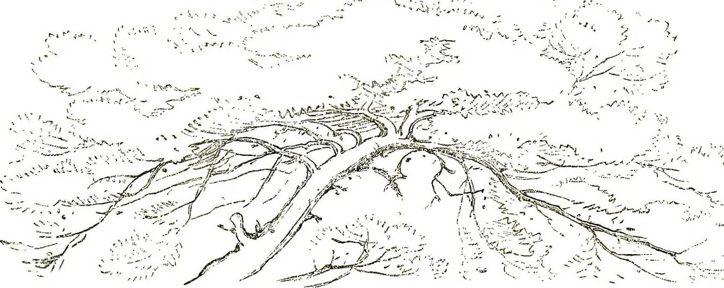 An illustration from The art of sketching from nature, 1871, leaf 57