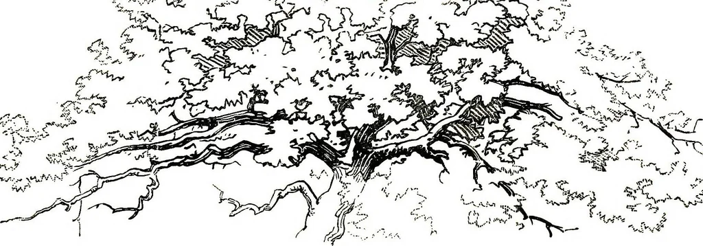 An illustration from The art of sketching from nature, 1871, leaf 63