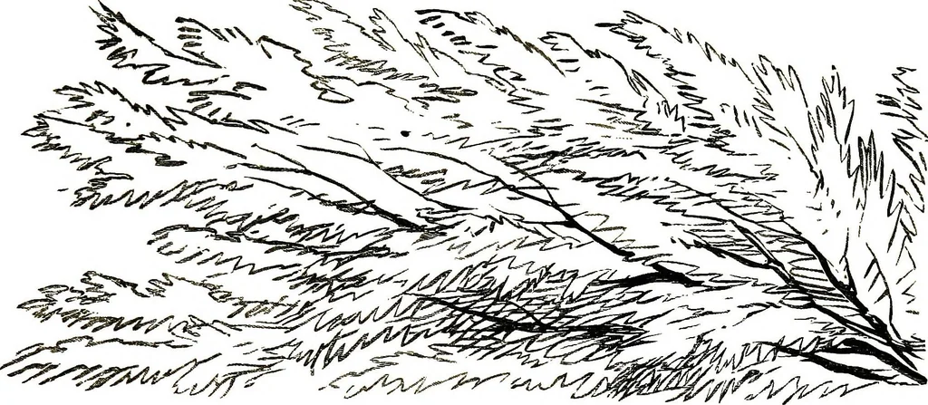 An illustration from The art of sketching from nature, 1871, leaf 72