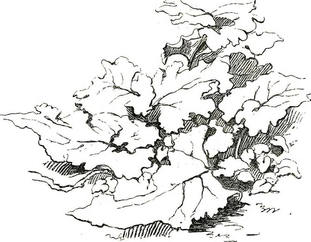 An illustration from The art of sketching from nature, 1871, leaf 74