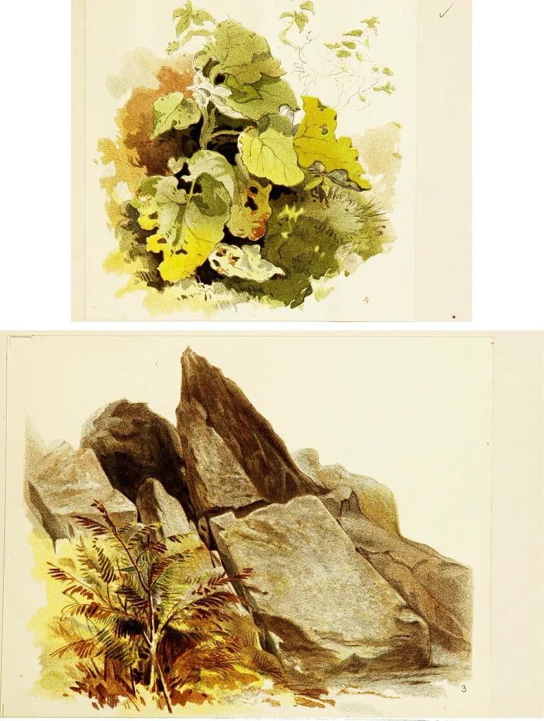 An illustration from The art of sketching from nature, 1871, leaf 82