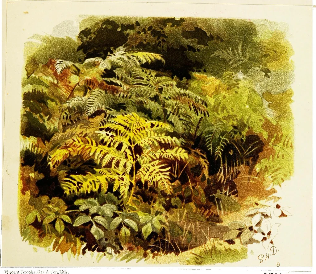 An illustration from The art of sketching from nature, 1871, leaf 98