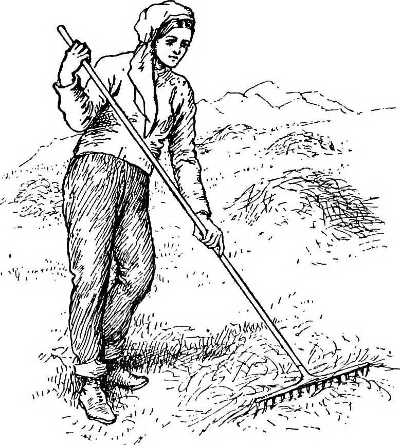 An illustration from The heritage of dress; being notes on the history and evolution of clothes, 1908, leaf 119