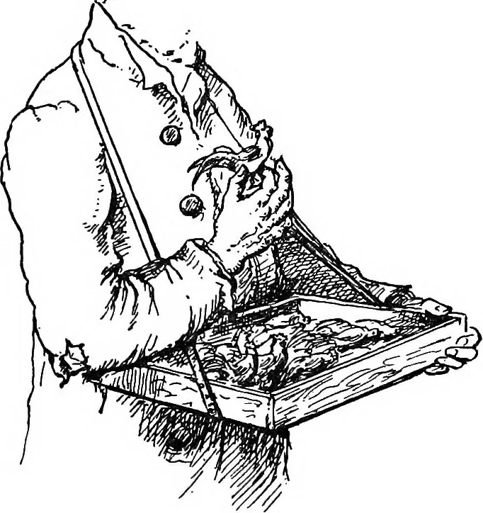 An illustration from The heritage of dress; being notes on the history and evolution of clothes, 1908, leaf 146