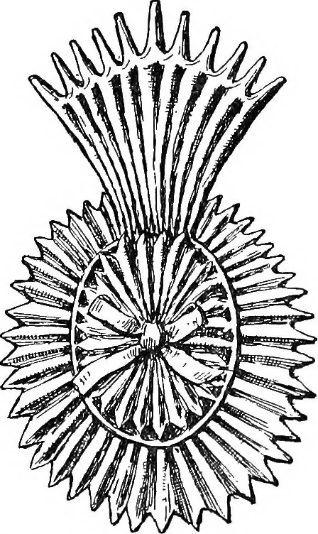 An illustration from The heritage of dress; being notes on the history and evolution of clothes, 1908, leaf 199