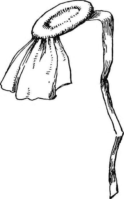 An illustration from The heritage of dress; being notes on the history and evolution of clothes, 1908, leaf 204