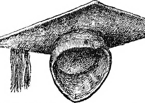 An illustration from The heritage of dress; being notes on the history and evolution of clothes, 1908, leaf 265