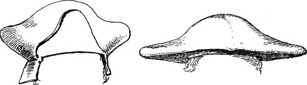 An illustration from The heritage of dress; being notes on the history and evolution of clothes, 1908, leaf 265