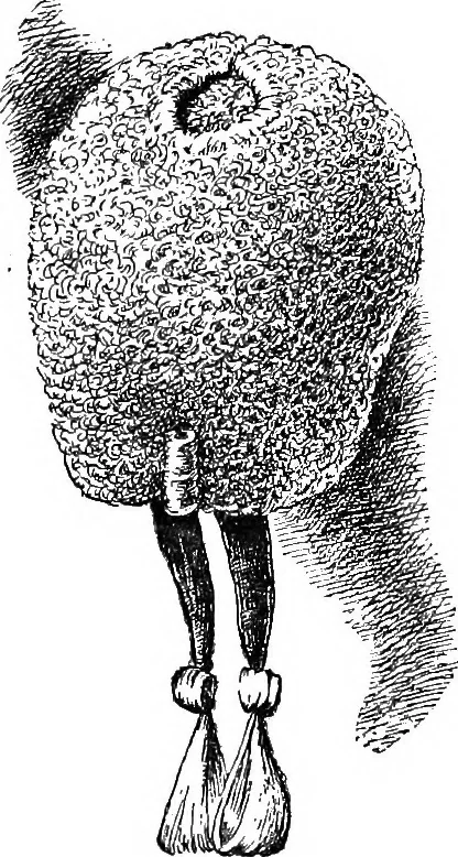 An illustration from The heritage of dress; being notes on the history and evolution of clothes, 1908, leaf 267