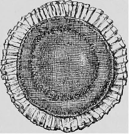 An illustration from The heritage of dress; being notes on the history and evolution of clothes, 1908, leaf 268