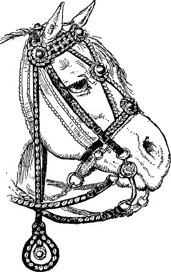 An illustration from The heritage of dress; being notes on the history and evolution of clothes, 1908, leaf 351