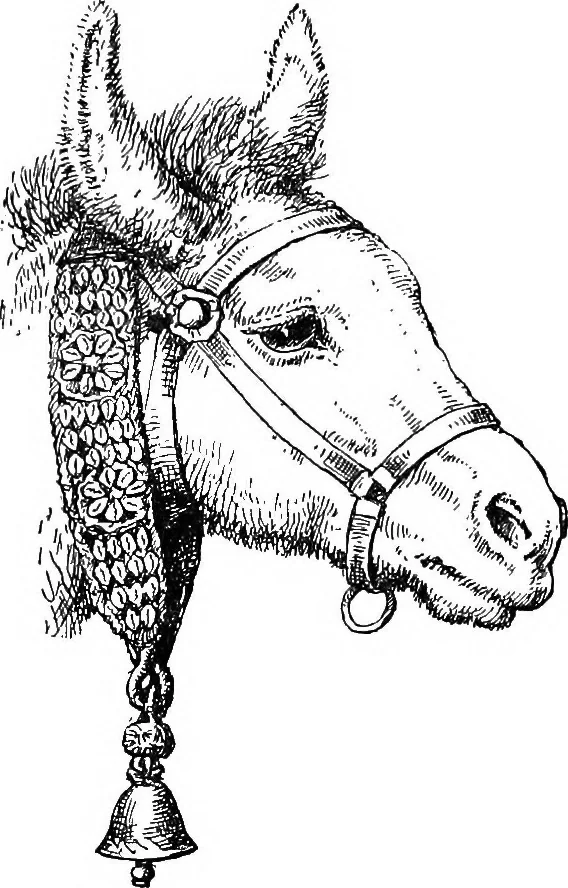 An illustration from The heritage of dress; being notes on the history and evolution of clothes, 1908, leaf 352