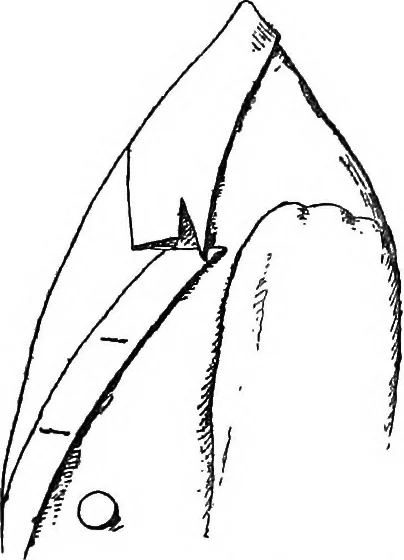 An illustration from The heritage of dress; being notes on the history and evolution of clothes, 1908, leaf 82