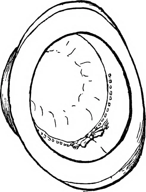 An illustration from The heritage of dress; being notes on the history and evolution of clothes, 1908, leaf 94
