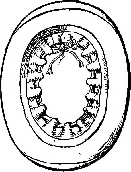 An illustration from The heritage of dress; being notes on the history and evolution of clothes, 1908, leaf 95