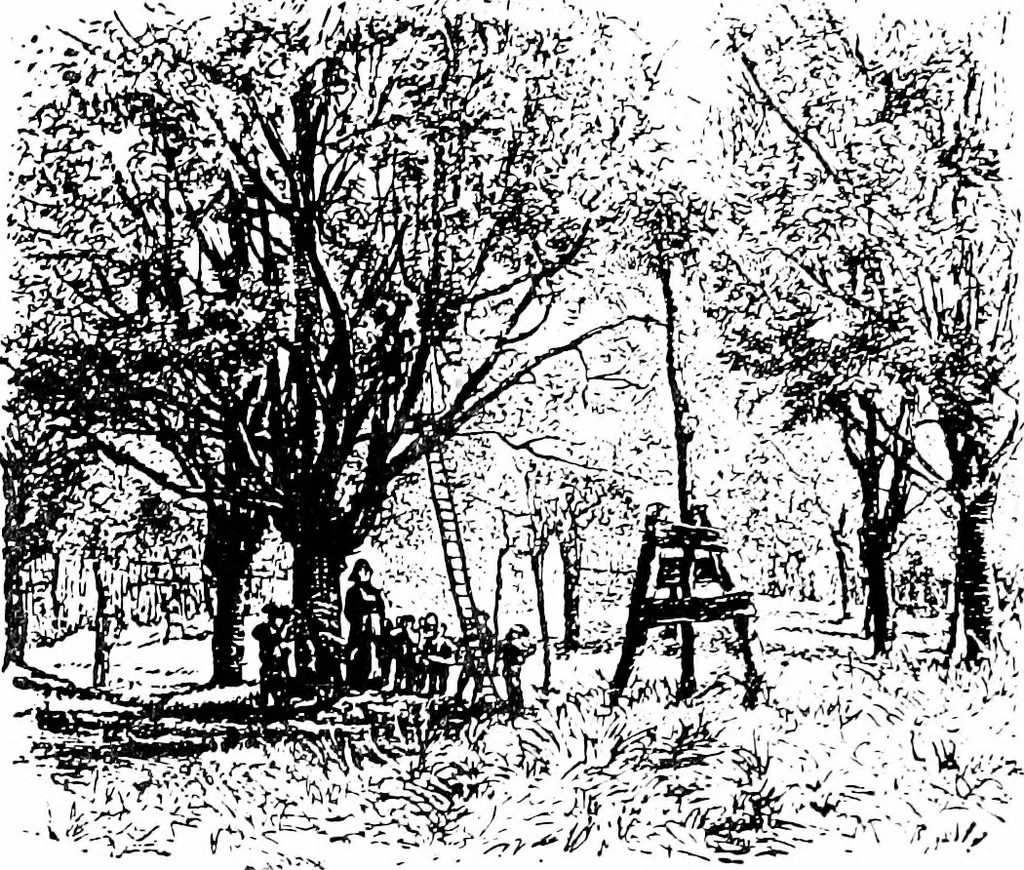 An illustration from The graphic arts; modern men and modern methods, 1921, leaf 51