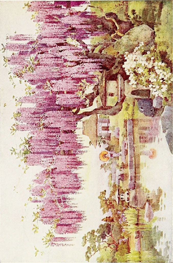 An illustration from The flowers and gardens of Japan, 1908, leaf 120