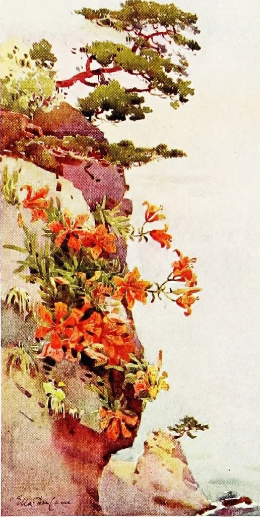 An illustration from The flowers and gardens of Japan, 1908, leaf 190