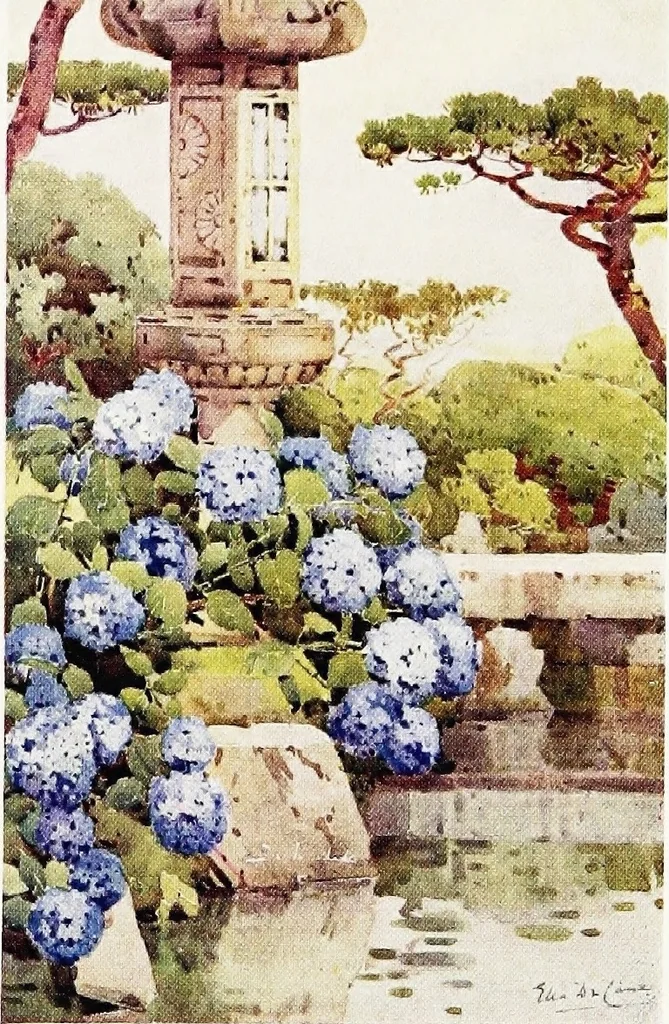 An illustration from The flowers and gardens of Japan, 1908, leaf 196