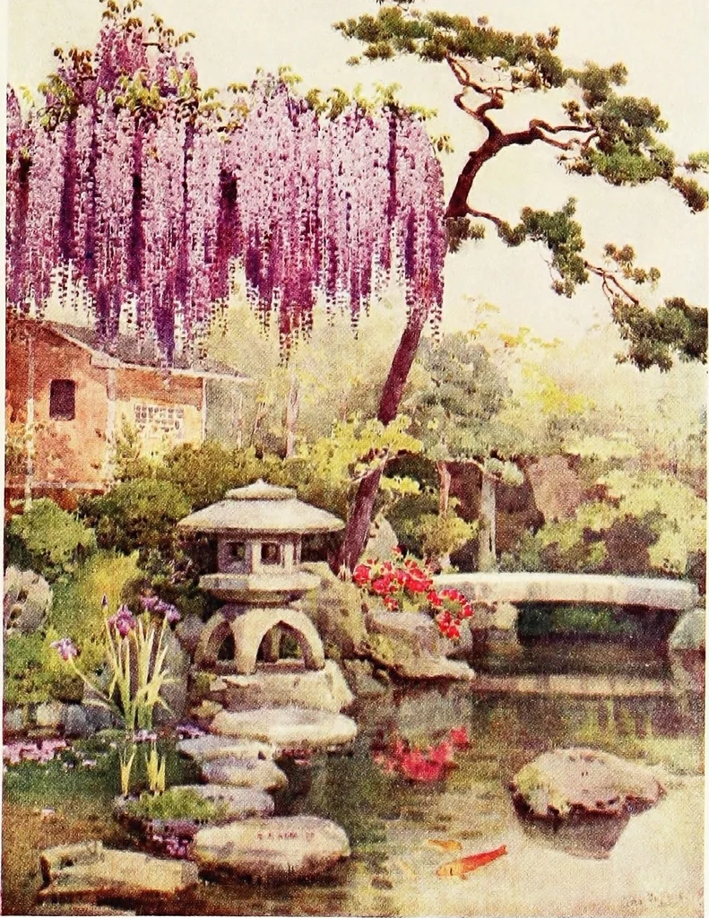 An illustration from The flowers and gardens of Japan, 1908, leaf 26