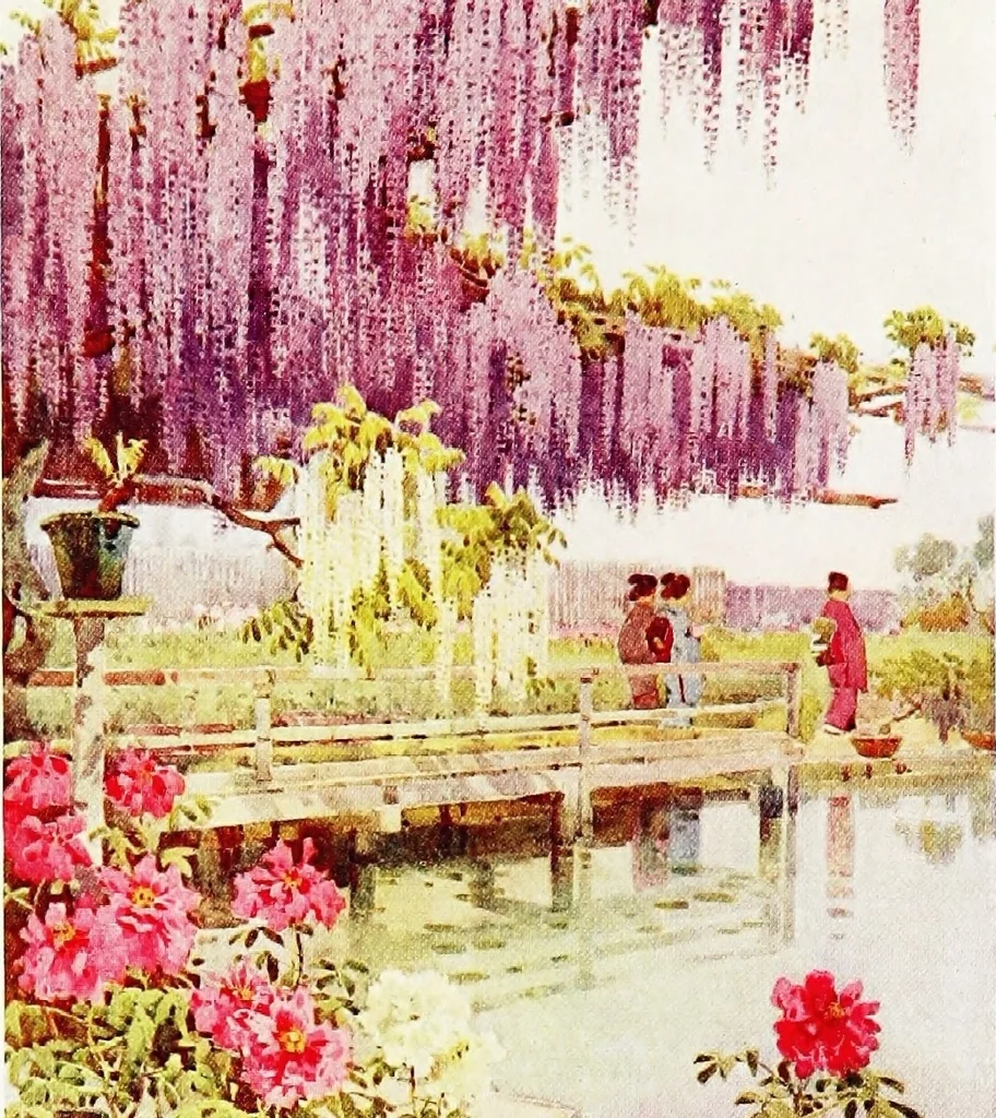 An illustration from The flowers and gardens of Japan, 1908, leaf 302