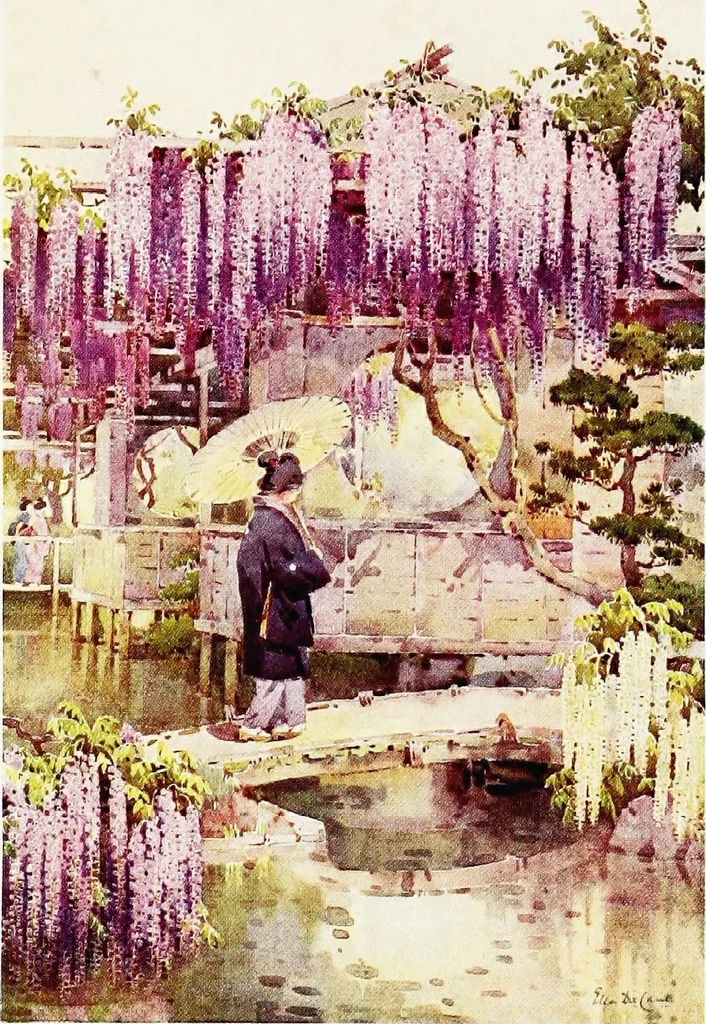 An illustration from The flowers and gardens of Japan, 1908, leaf 310