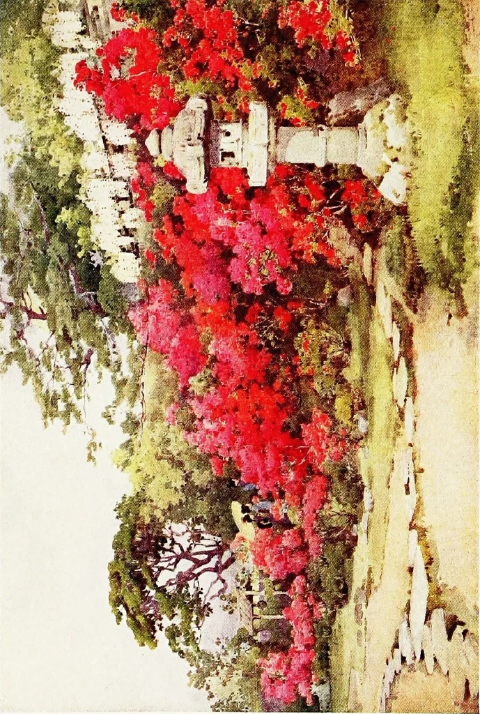 An illustration from The flowers and gardens of Japan, 1908, leaf 330
