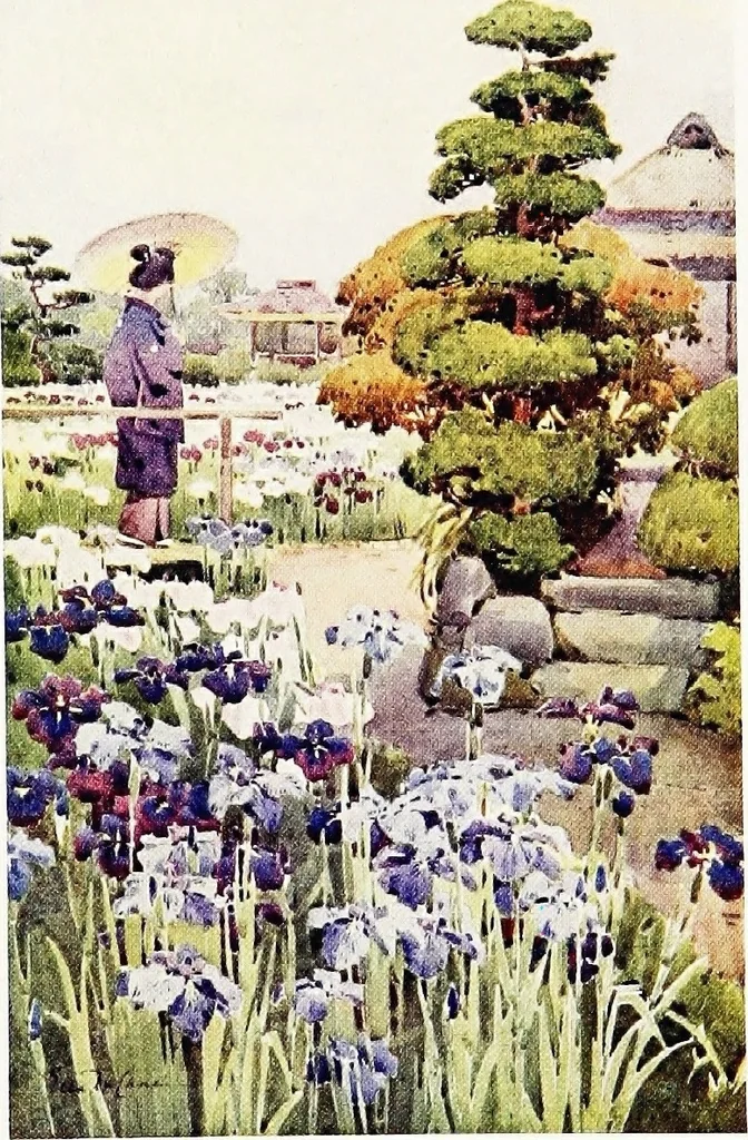 An illustration from The flowers and gardens of Japan, 1908, leaf 350