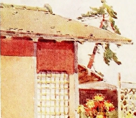 An illustration from The flowers and gardens of Japan, 1908, leaf 386