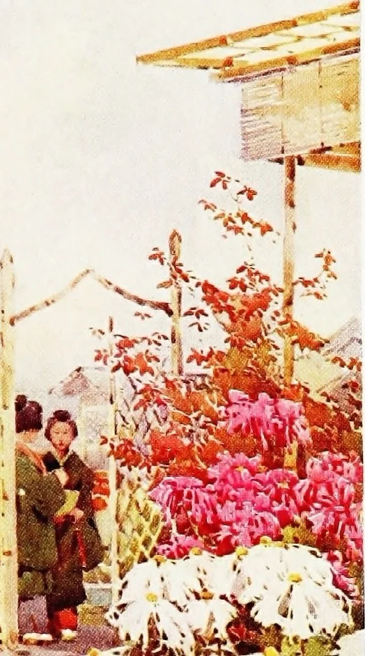 An illustration from The flowers and gardens of Japan, 1908, leaf 386
