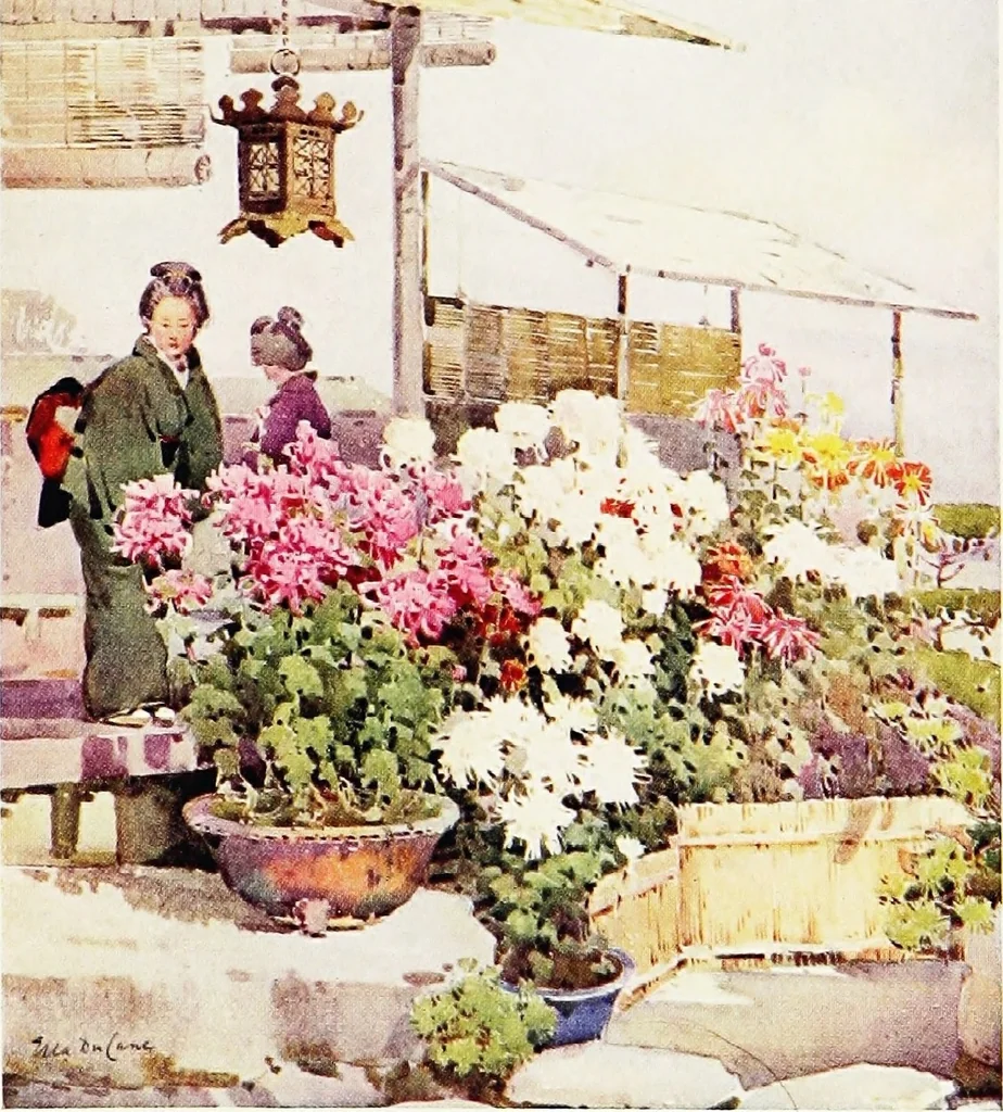 An illustration from The flowers and gardens of Japan, 1908, leaf 404