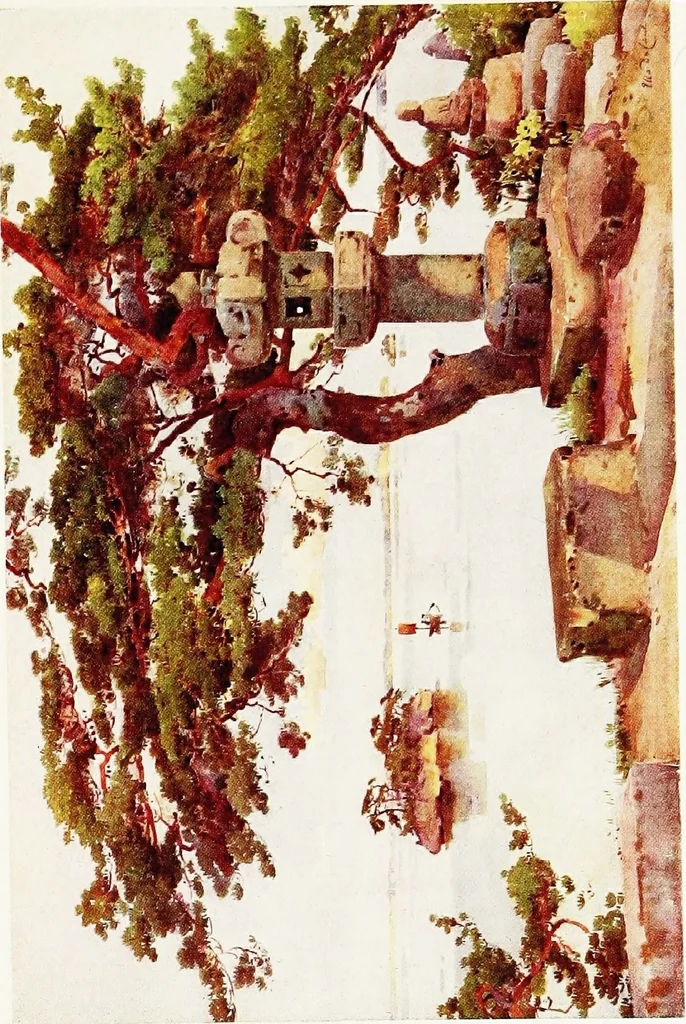 An illustration from The flowers and gardens of Japan, 1908, leaf 450