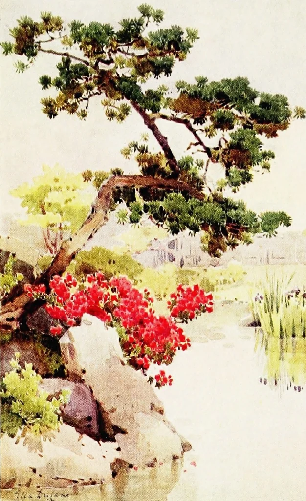 An illustration from The flowers and gardens of Japan, 1908, leaf 460