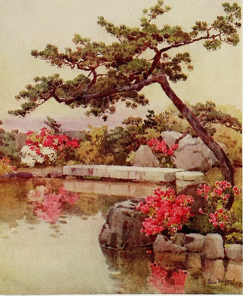 An illustration from The flowers and gardens of Japan, 1908, leaf 52