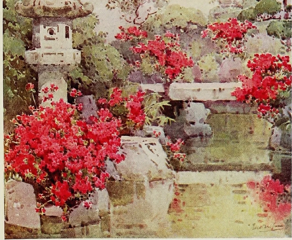 An illustration from The flowers and gardens of Japan, 1908, leaf 64