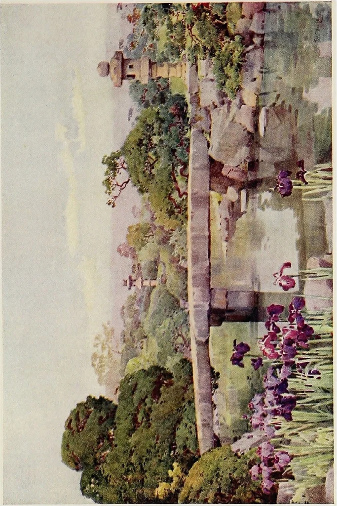 An illustration from The flowers and gardens of Japan, 1908, leaf 90