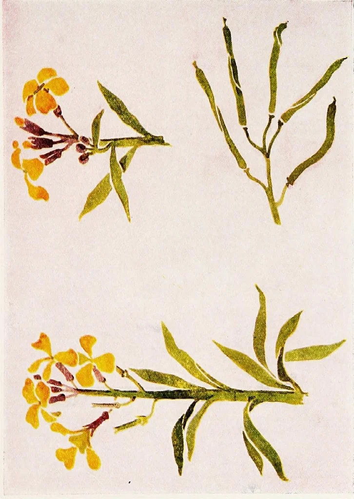An illustration from Simple art applied to handwork, 1915, leaf 117
