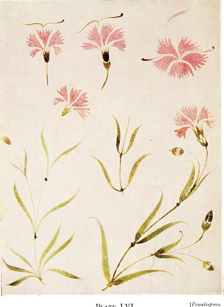 An illustration from Simple art applied to handwork, 1915, leaf 4