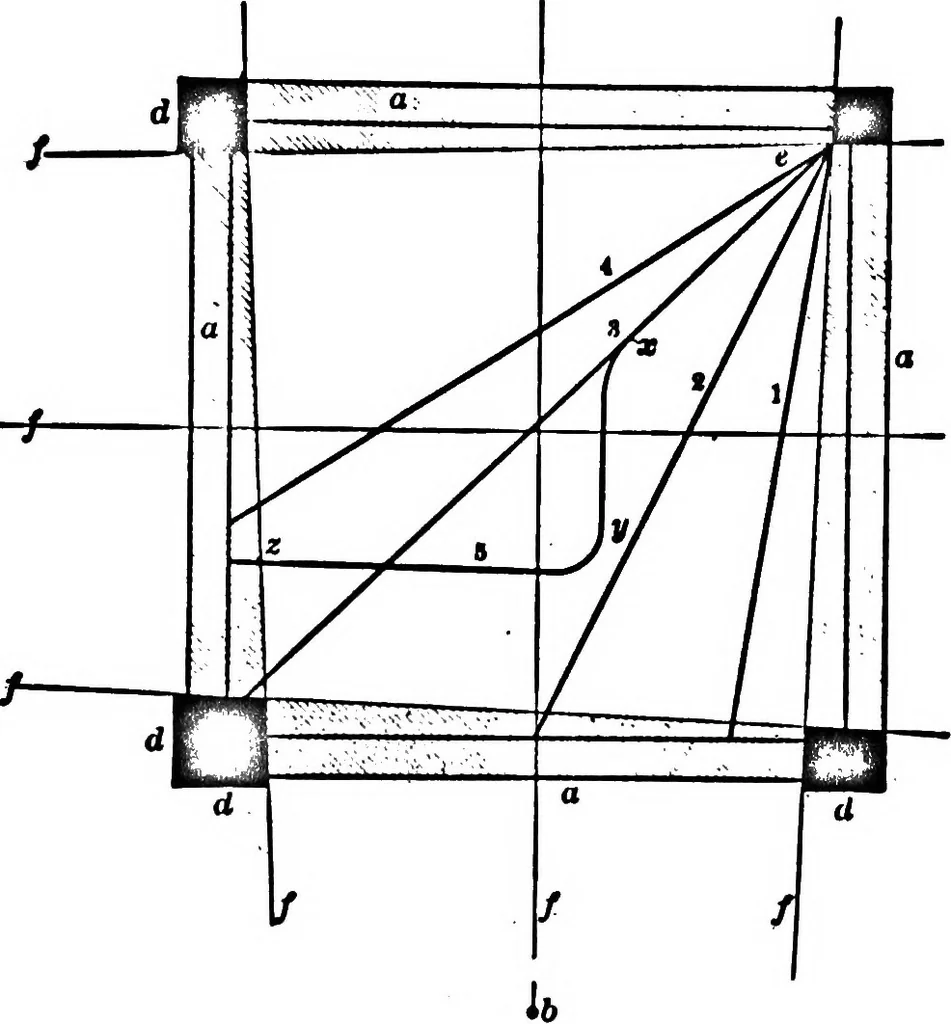 An illustration from Light and the behavior of organisms, 1911, leaf 164