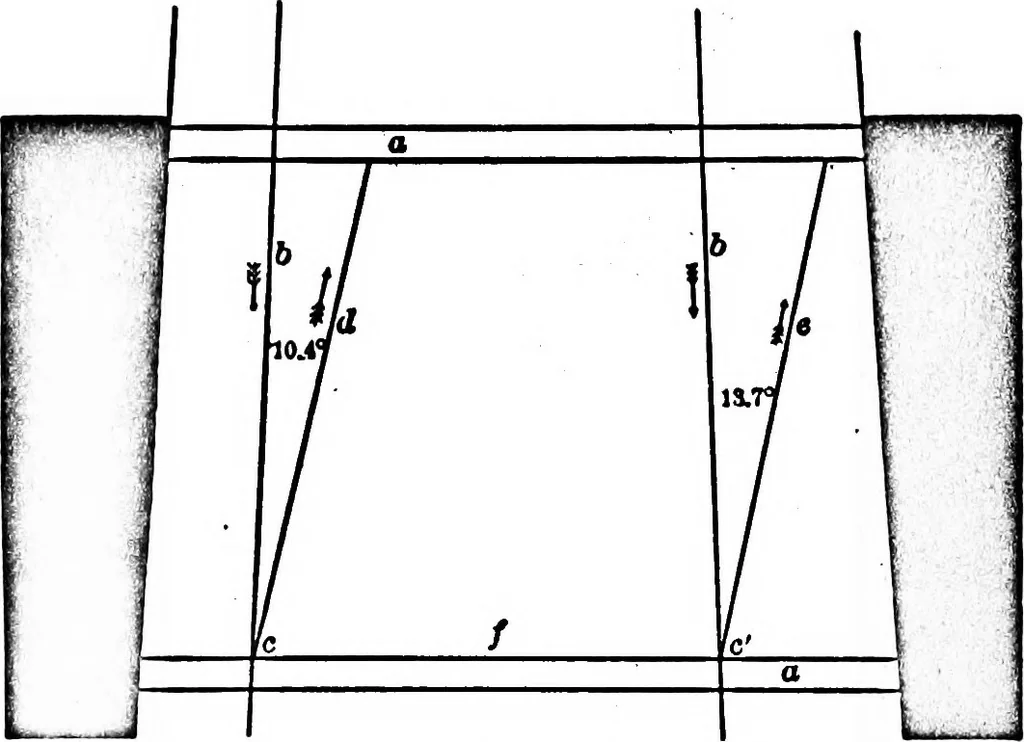 An illustration from Light and the behavior of organisms, 1911, leaf 165