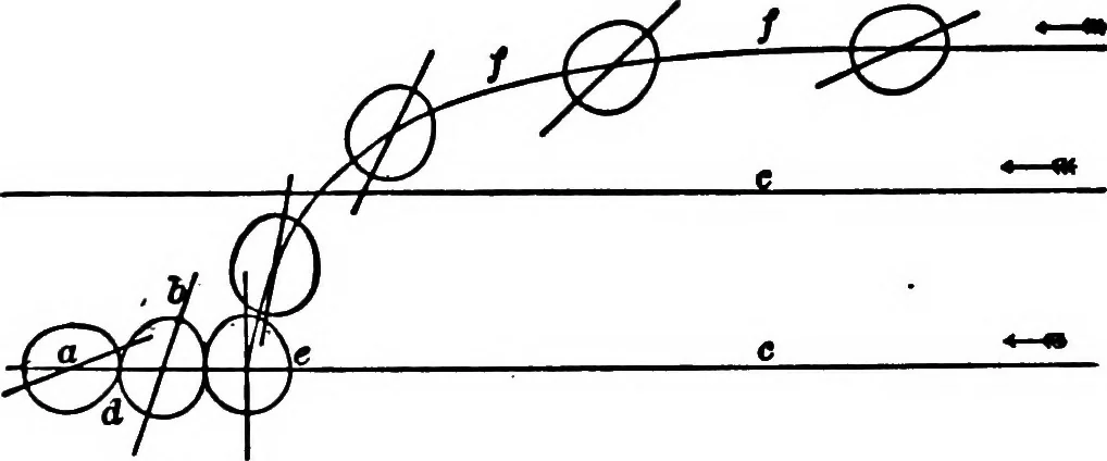 An illustration from Light and the behavior of organisms, 1911, leaf 166