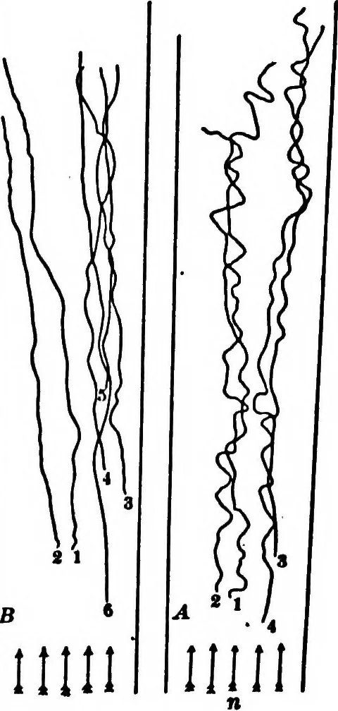 An illustration from Light and the behavior of organisms, 1911, leaf 204